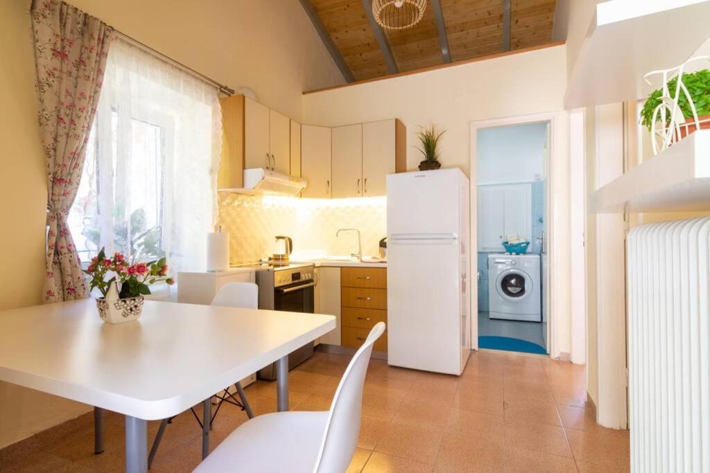 Thanos Cottage Vlachopoulátika 外观 照片